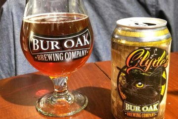Burr's Oak